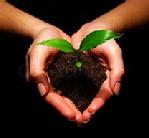 Spring Lake, Counselors, mental health,relationship, tele counselingFamily Counseling Spring Lake Heights Counseling Centeer,